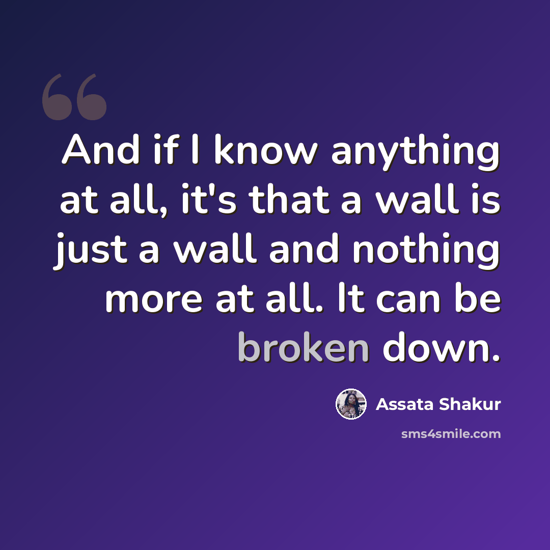 “And if I know anything at all, it's that a wall is just a wall and nothing more at all. It can be broken down.” quote by Assata Shakur
