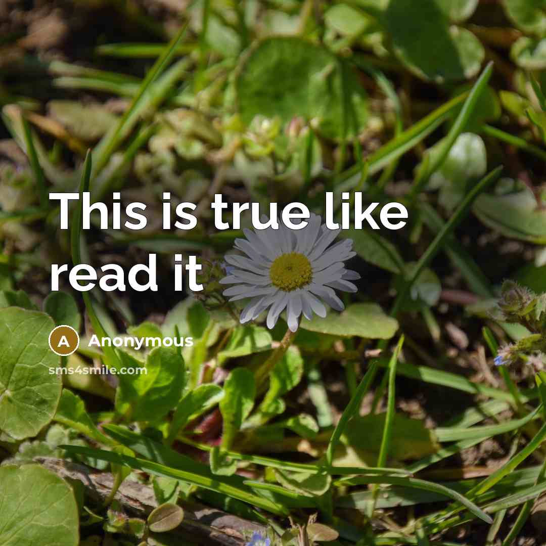 “This is true like read it” quote by Anonymous