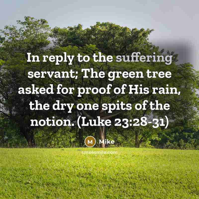 “In reply to the suffering servant; The green tree asked for proof of His rain, the dry one spits of the notion. (Luke 23:28-31)” quote by Mike