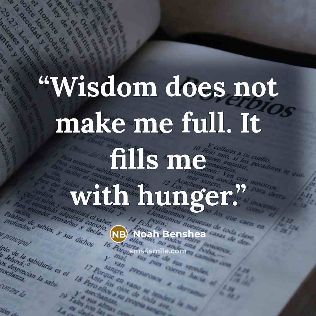 “Wisdom does not make me full. It fills me with hunger.” quote by Noah Benshea