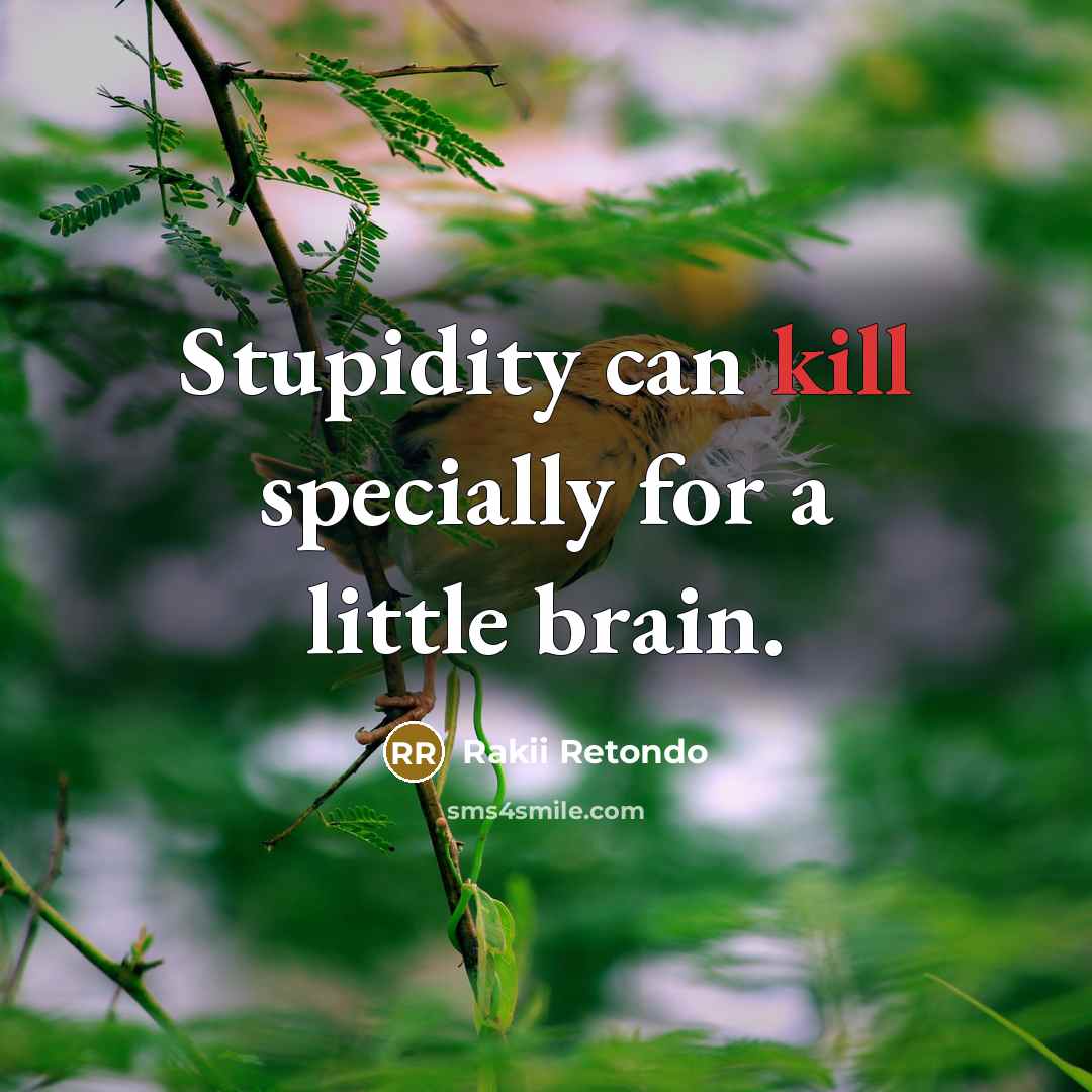 “Stupidity can kill specially for a little brain.” quote by Rakii Retondo