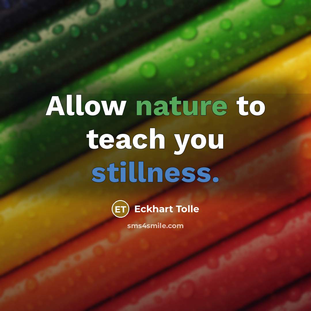 “Allow nature to teach you stillness.” quote by Eckhart Tolle