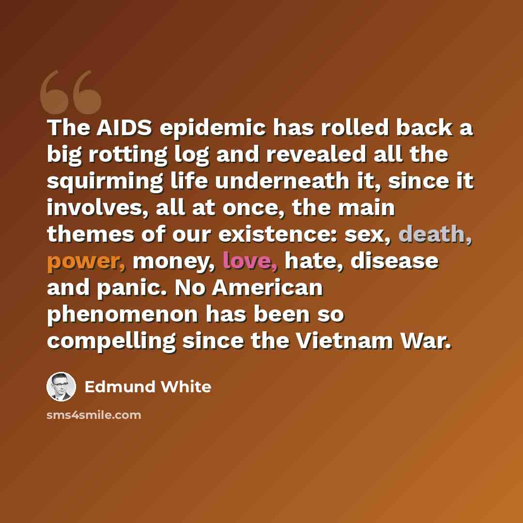 “The AIDS epidemic has rolled back a big rotting log and revealed all the squirming life underneath it, since it involves, all at once, the main themes of our existence: sex, death, power, money, love, hate, disease and panic. No American phenomenon has been so compelling since the Vietnam War.” quote by Edmund White