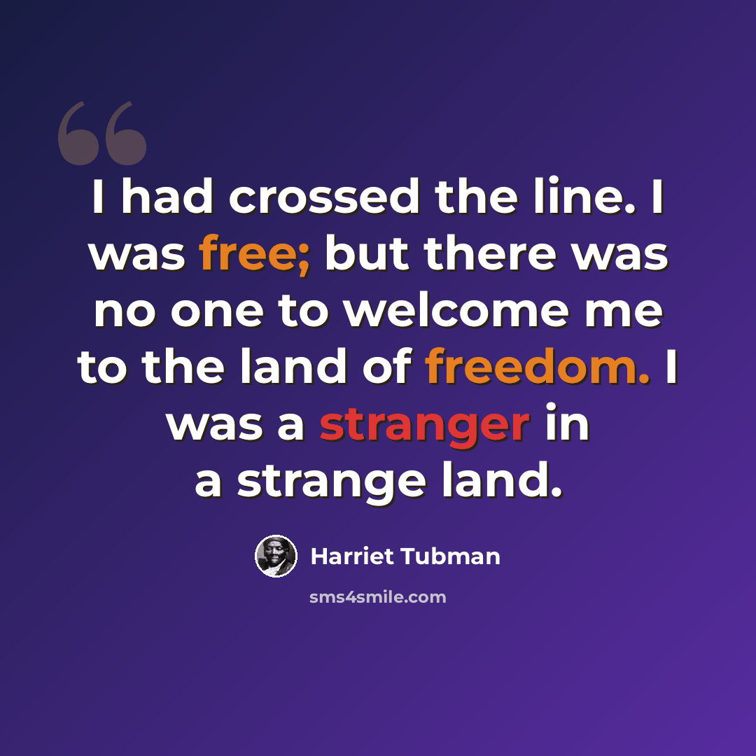 “I had crossed the line. I was free; but there was no one to welcome me to the land of freedom. I was a stranger in a strange land.” quote by Harriet Tubman