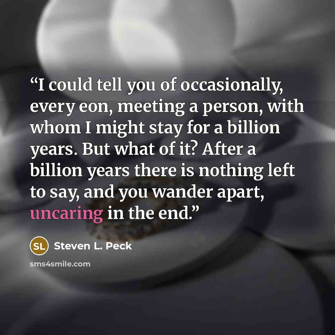 “I could tell you of occasionally, every eon, meeting a person, with whom I might stay for a billion years. But what of it? After a billion years there is nothing left to say, and you wander apart, uncaring in the end.” quote by Steven L. Peck