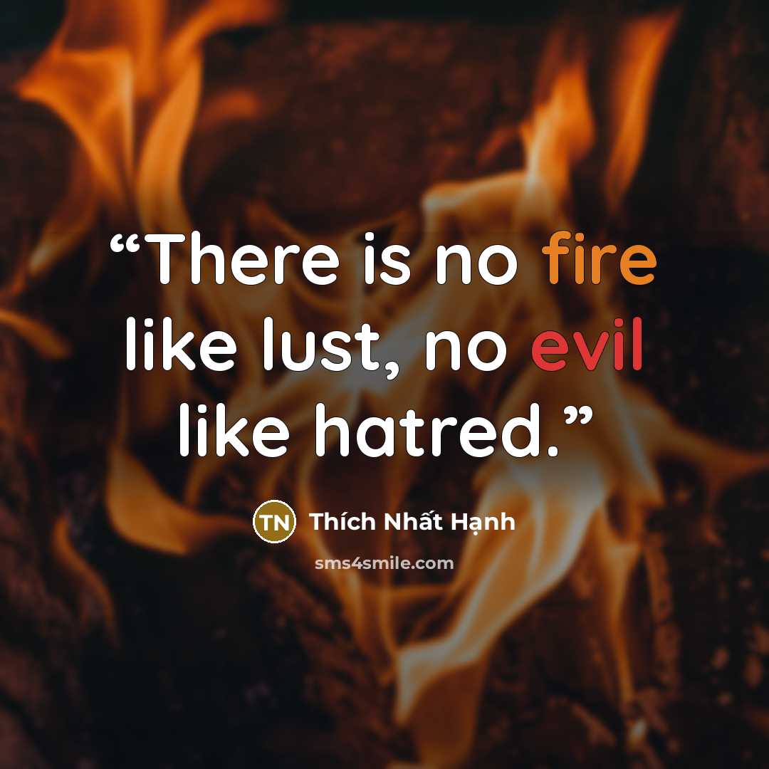 “There is no fire like lust, no evil like hatred.” quote by Thích Nhất Hạnh