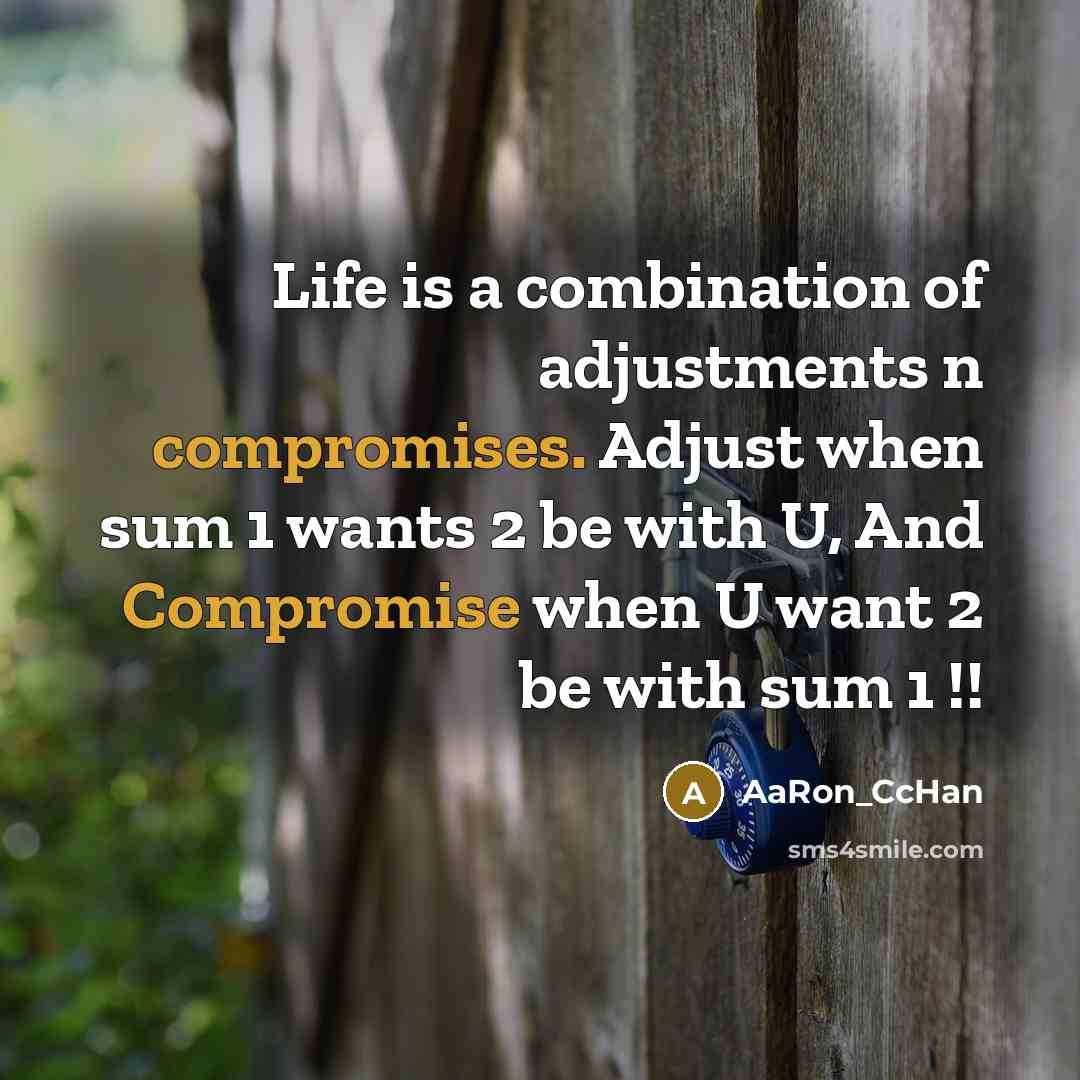 “Life is a combination of adjustments n compromises. Adjust when sum 1 wants 2 be with U, And Compromise when U want 2 be with sum 1 !!” quote by AaRon_CcHan