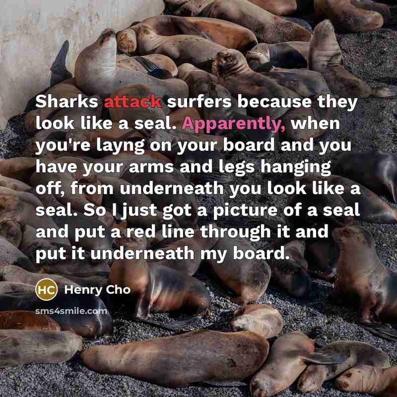 “Sharks attack surfers because they look like a seal. Apparently, when you're layng on your board and you have your arms and legs hanging off, from underneath you look like a seal. So I just got a picture of a seal and put a red line through it and put it underneath my board.” quote by Henry Cho