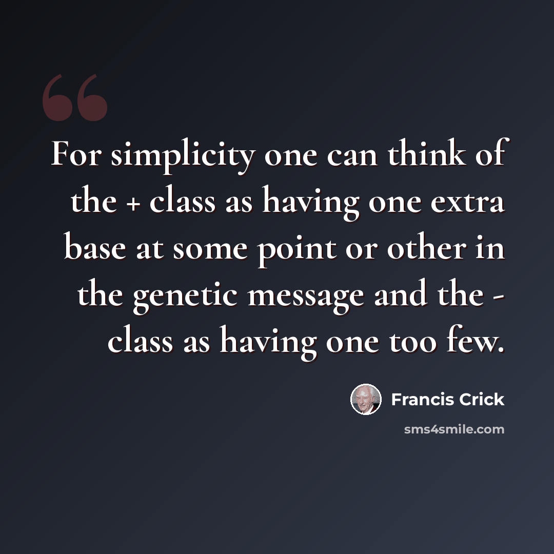 “For simplicity one can think of the + class as having one extra base at some point or other in the genetic message and the - class as having one too few.” quote by Francis Crick