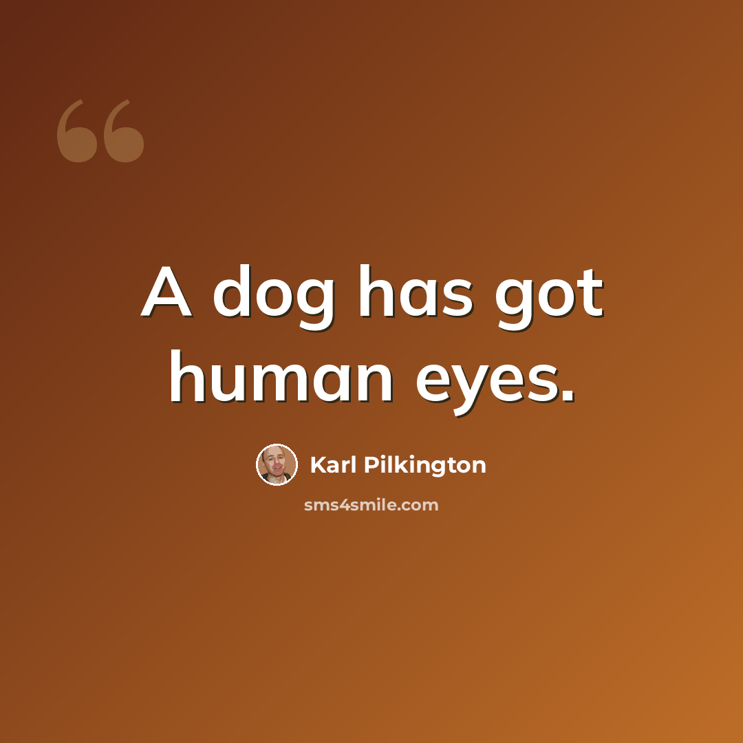 “A dog has got human eyes.” quote by Karl Pilkington