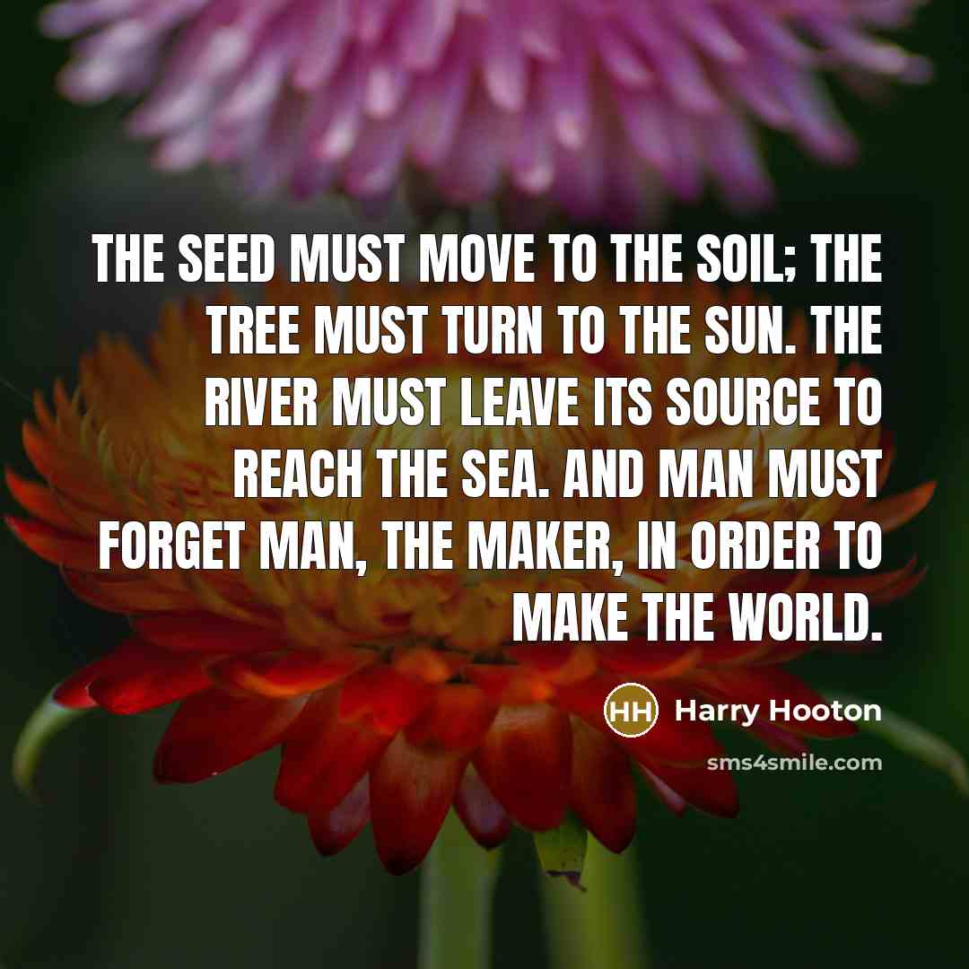 “The seed must move to the soil; the tree must turn to the sun. The river must leave its source to reach the sea. And man must forget man, the maker, in order to make the world.” quote by Harry Hooton