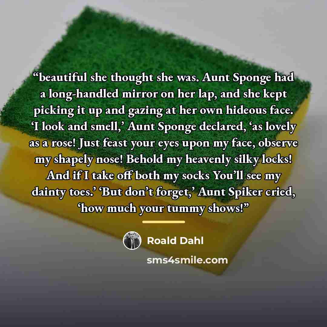 “beautiful she thought she was. Aunt Sponge had a long-handled mirror on her lap, and she kept picking it up and gazing at her own hideous face. ‘I look and smell,’ Aunt Sponge declared, ‘as lovely as a rose! Just feast your eyes upon my face, observe my shapely nose! Behold my heavenly silky…” quote by Roald Dahl