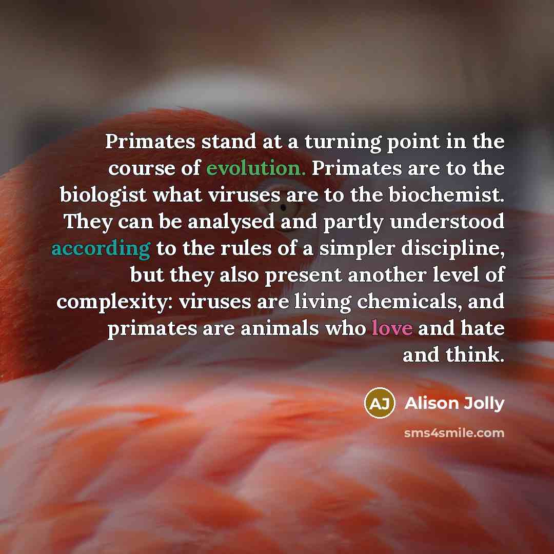 “Primates stand at a turning point in the course of evolution. Primates are to the biologist what viruses are to the biochemist. They can be analysed and partly understood according to the rules of a simpler discipline, but they also present another level of complexity: viruses are living…” quote by Alison Jolly