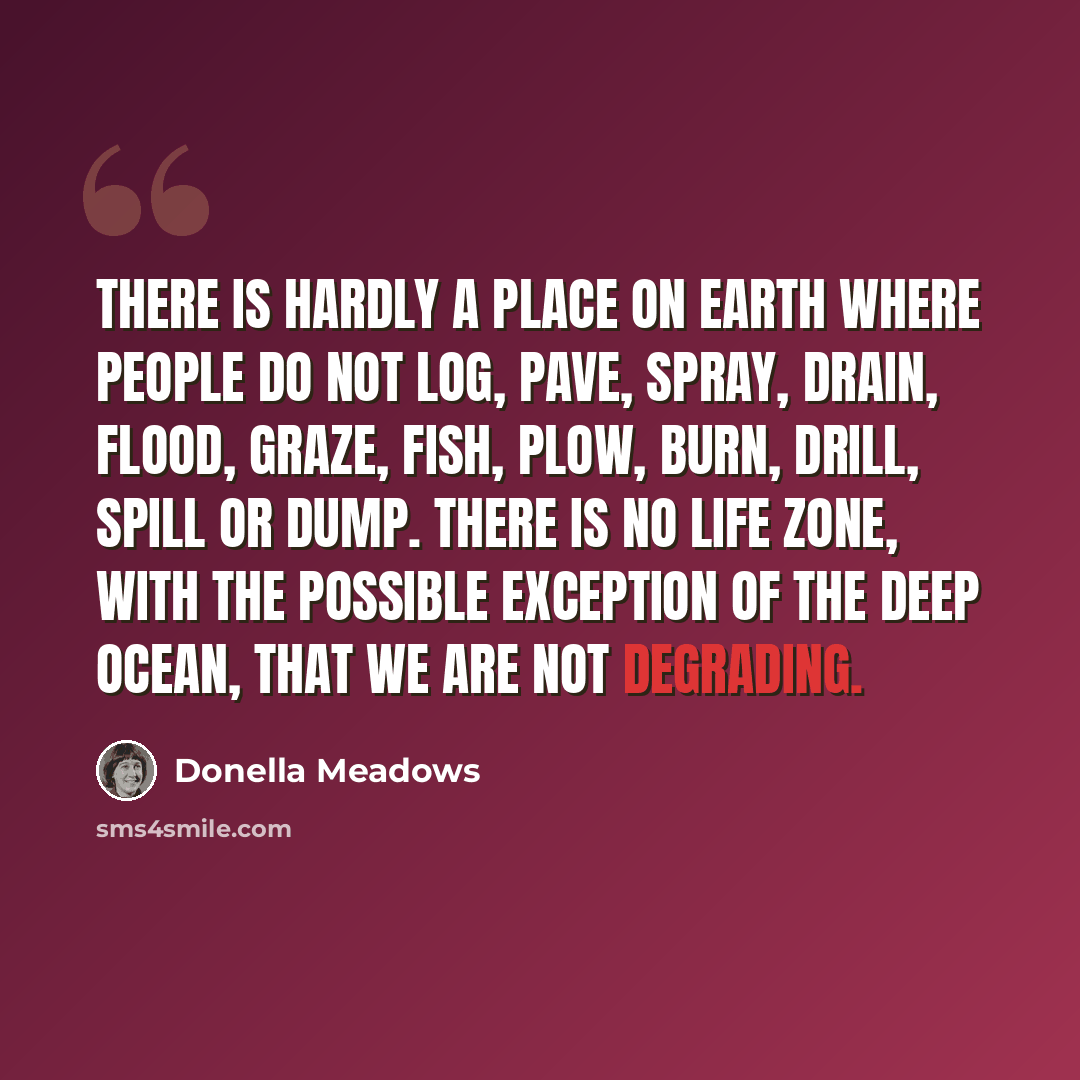 “There is hardly a place on Earth where people do not log, pave, spray, drain, flood, graze, fish, plow, burn, drill, spill or dump. There is no life zone, with the possible exception of the deep ocean, that we are not degrading.” quote by Donella Meadows