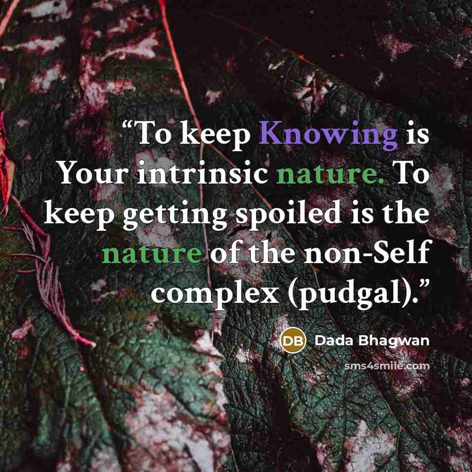 “To keep Knowing is Your intrinsic nature. To keep getting spoiled is the nature of the non-Self complex (pudgal).” quote by Dada Bhagwan