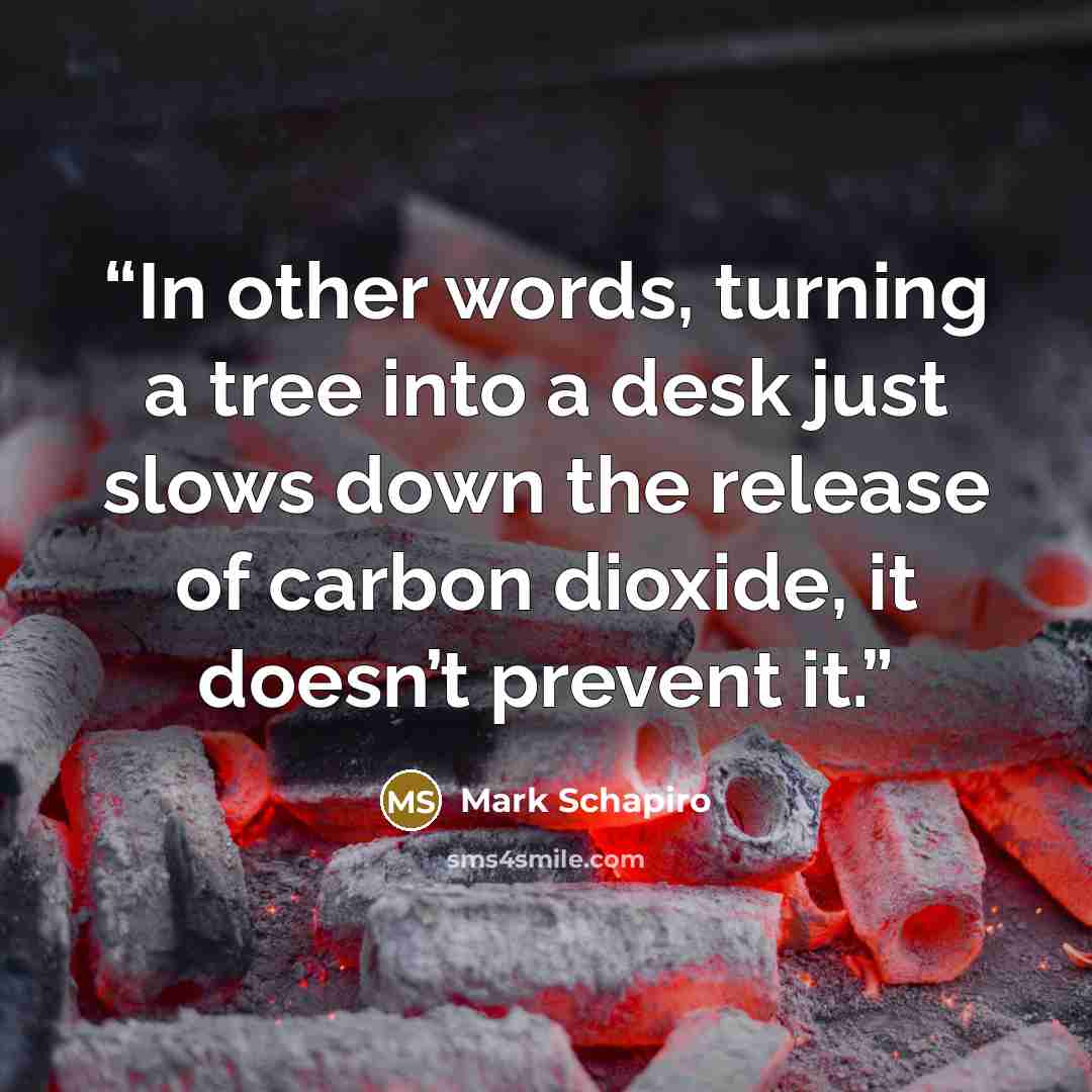“In other words, turning a tree into a desk just slows down the release of carbon dioxide, it doesn’t prevent it.” quote by Mark Schapiro