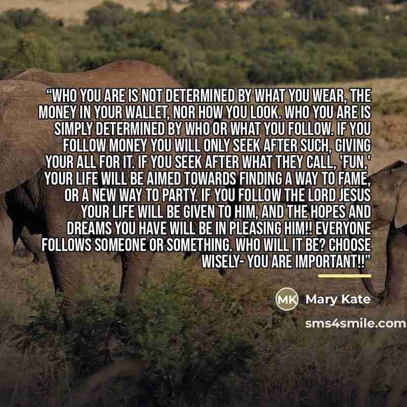 “Who you are is not determined by what you wear, the money in your wallet, nor how you look. Who you are is simply determined by who or what you follow. If you follow money you will only seek after such, giving your all for it. If you seek after what they call, 'fun,' your life will be aimed…” quote by Mary Kate