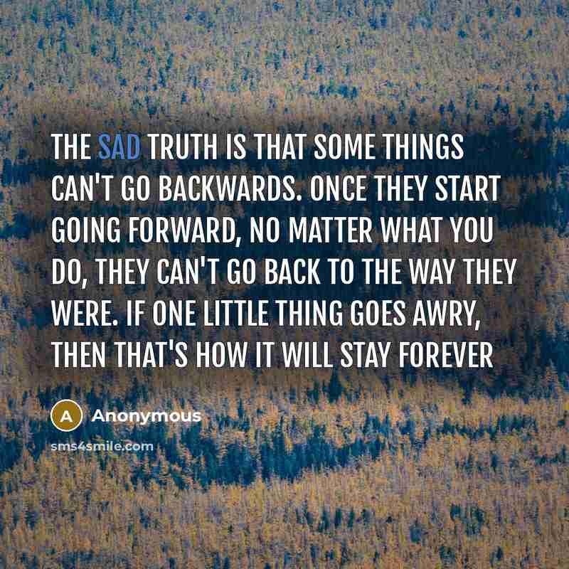 “The sad truth is that some things can't go backwards. Once they start going forward, no matter what you do, they can't go back to the way they were. If one little thing goes awry, then that's how it will stay forever” quote by Anonymous