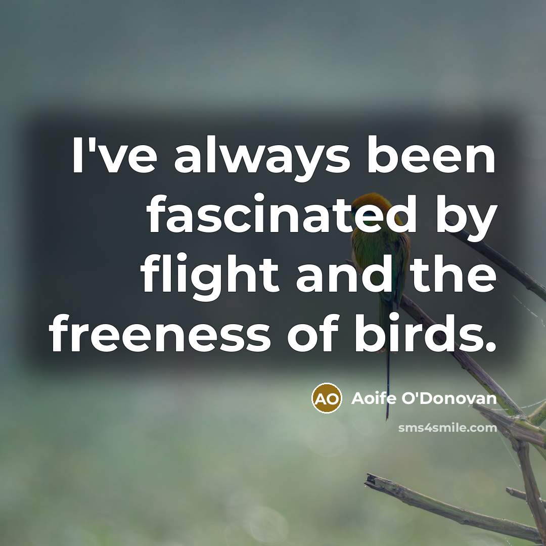 “I've always been fascinated by flight and the freeness of birds.” quote by Aoife O'Donovan