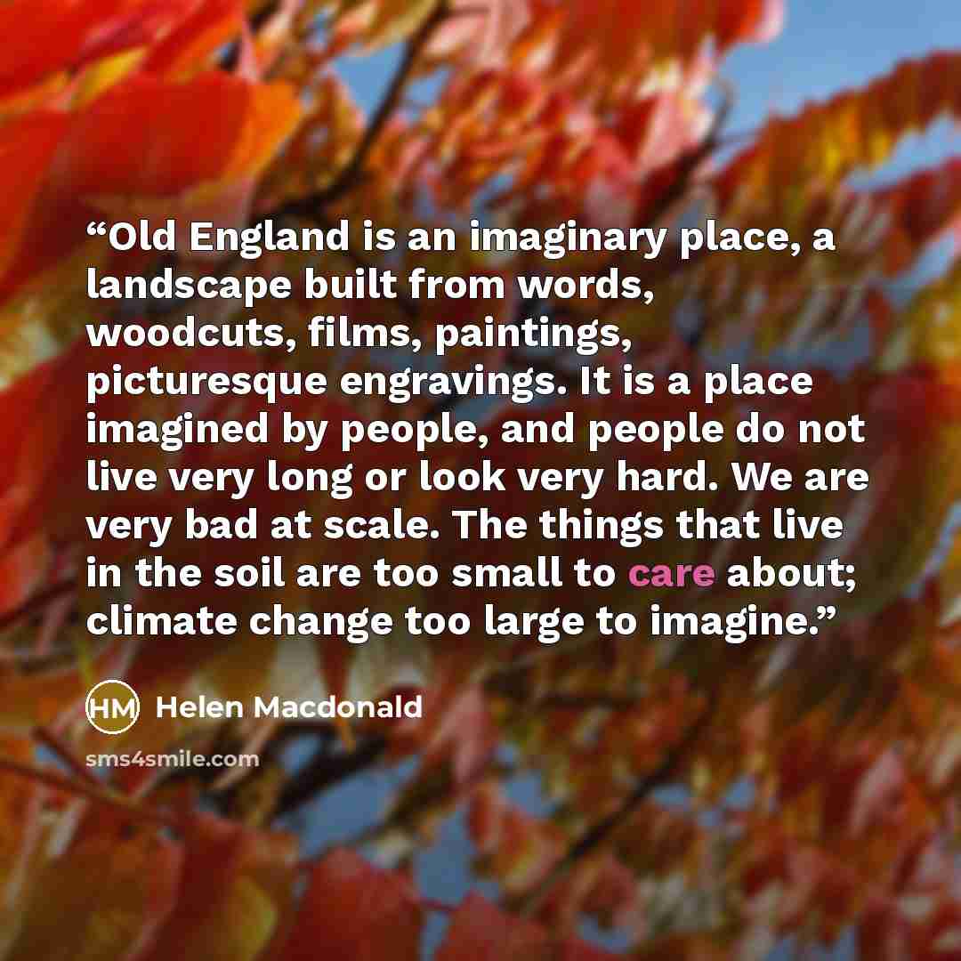 “Old England is an imaginary place, a landscape built from words, woodcuts, films, paintings, picturesque engravings. It is a place imagined by people, and people do not live very long or look very hard. We are very bad at scale. The things that live in the soil are too small to care about; climate…” quote by Helen Macdonald