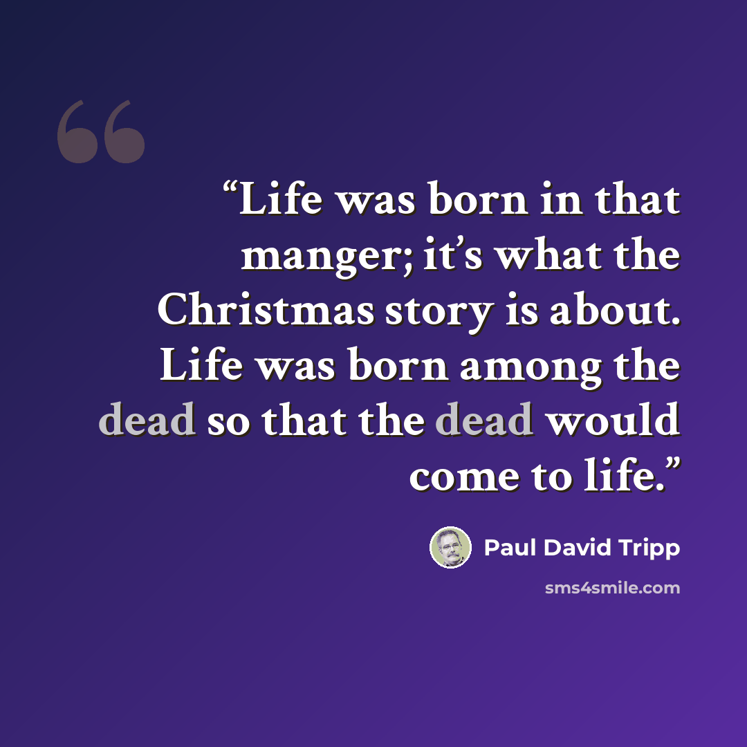 “Life was born in that manger; it’s what the Christmas story is about. Life was born among the dead so that the dead would come to life.” quote by Paul David Tripp