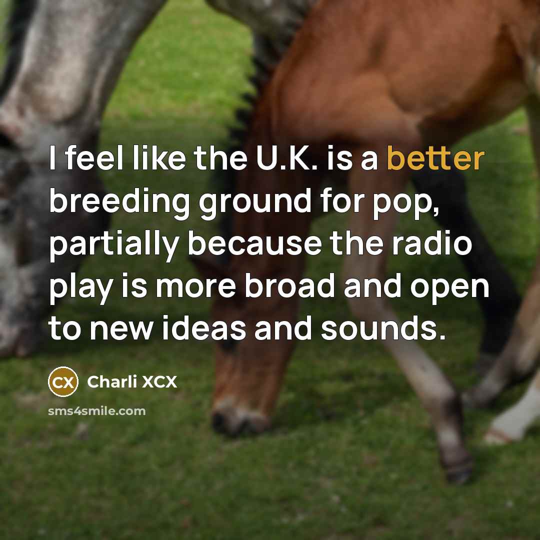 “I feel like the U.K. is a better breeding ground for pop, partially because the radio play is more broad and open to new ideas and sounds.” quote by Charli XCX