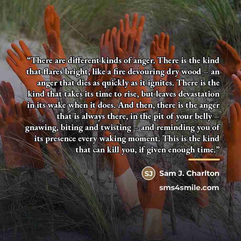 “There are different kinds of anger. There is the kind that flares bright, like a fire devouring dry wood – an anger that dies as quickly as it ignites. There is the kind that takes its time to rise, but leaves devastation in its wake when it does. And then, there is the anger that is always there…” quote by Sam J. Charlton