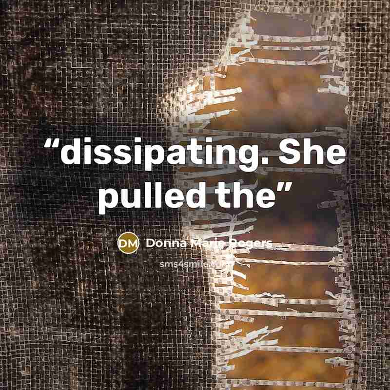 “dissipating. She pulled the” quote by Donna Marie Rogers