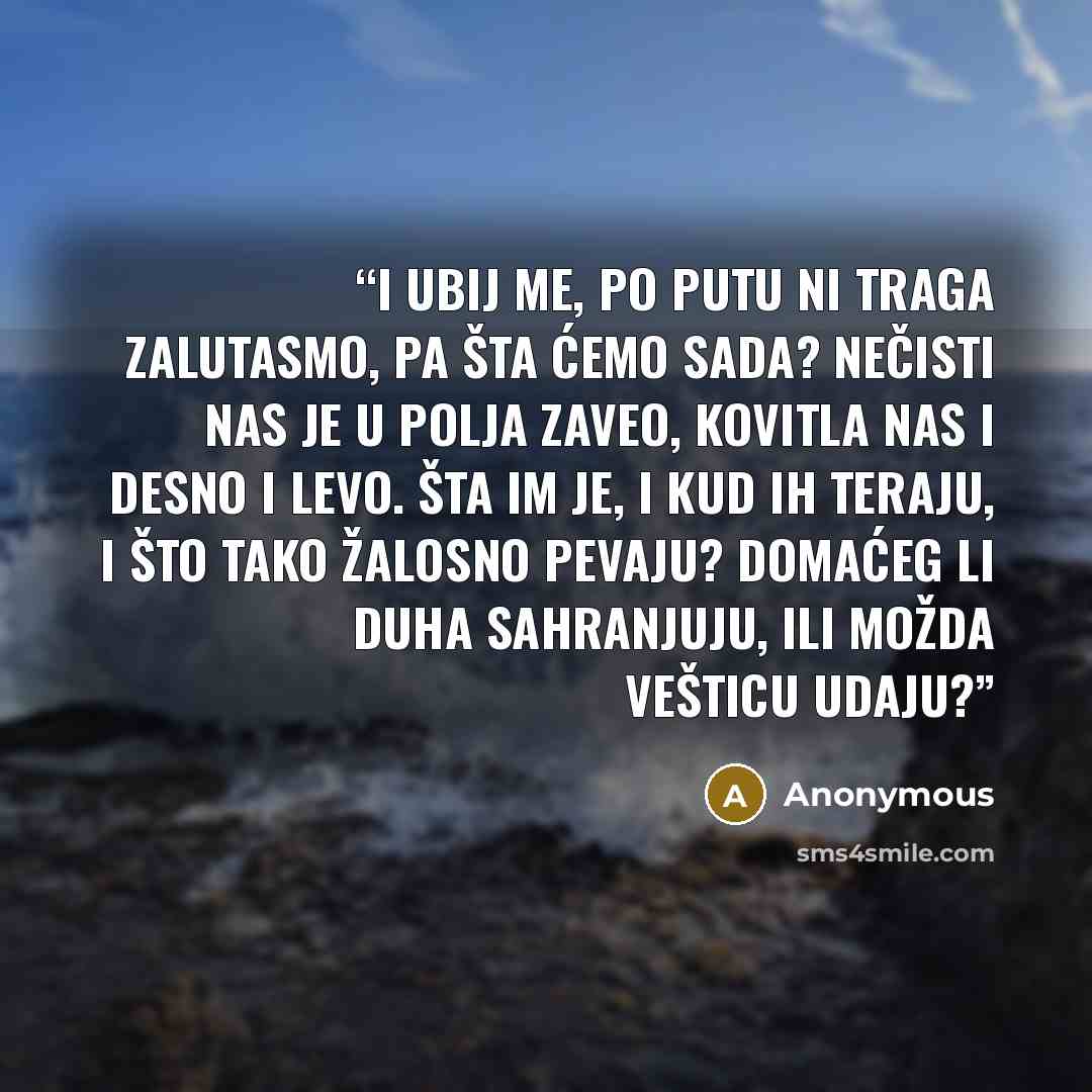 “I ubij me, po putu ni traga zalutasmo, pa šta ćemo sada? Nečisti nas je u polja zaveo, kovitla nas i desno i levo. Šta im je, i kud ih teraju, i što tako žalosno pevaju? Domaćeg li duha sahranjuju, ili možda vešticu udaju?” quote by Anonymous