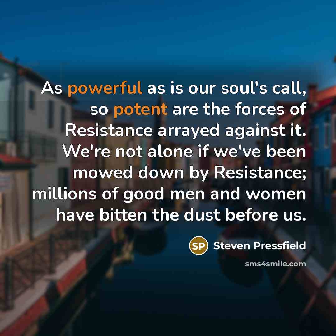 “As powerful as is our soul's call, so potent are the forces of Resistance arrayed against it. We're not alone if we've been mowed down by Resistance; millions of good men and women have bitten the dust before us.” quote by Steven Pressfield