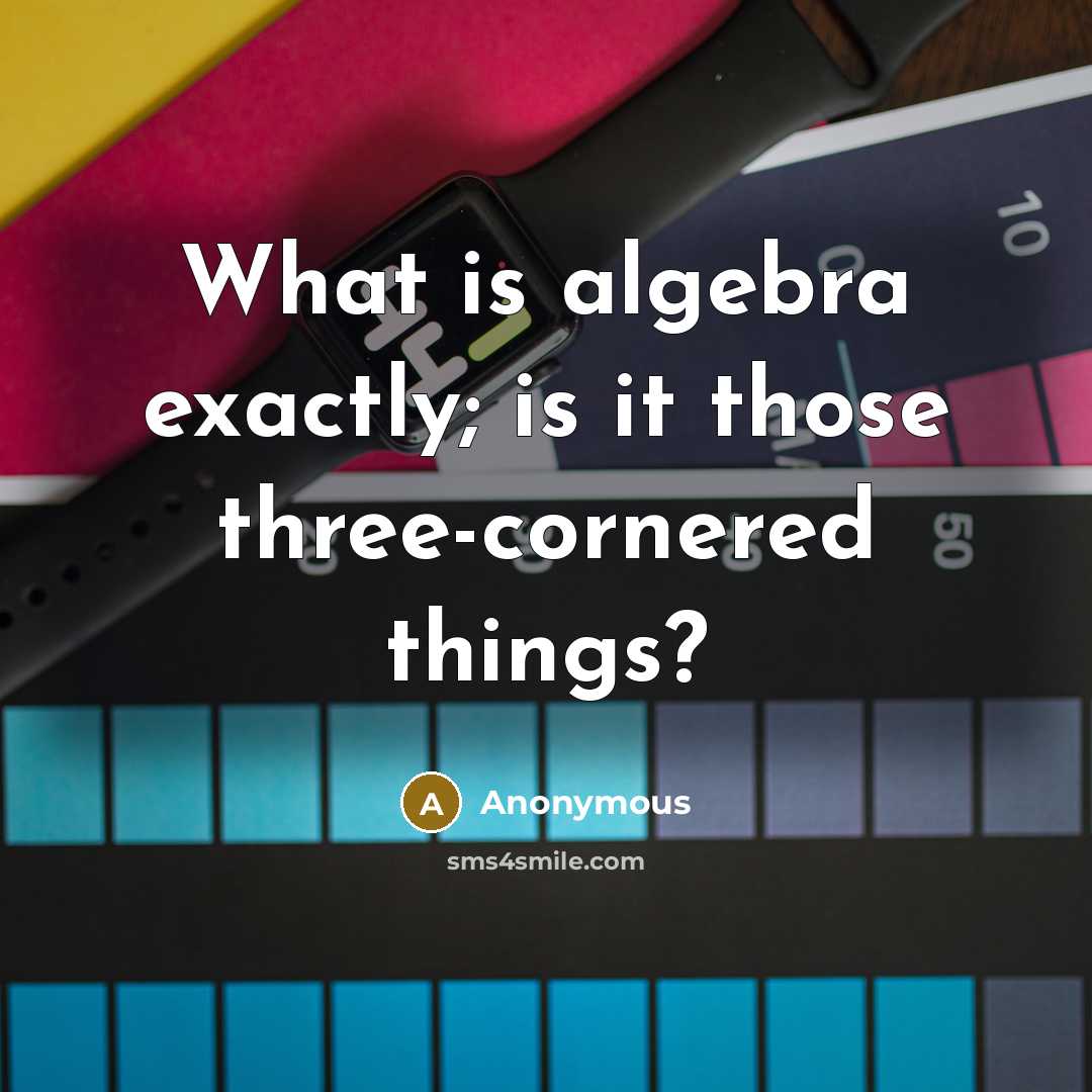 “What is algebra exactly; is it those three-cornered things?” quote by Anonymous