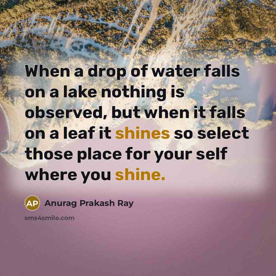“When a drop of water falls on a lake nothing is observed, but when it falls on a leaf it shines so select those place for your self where you shine.” quote by Anurag Prakash Ray
