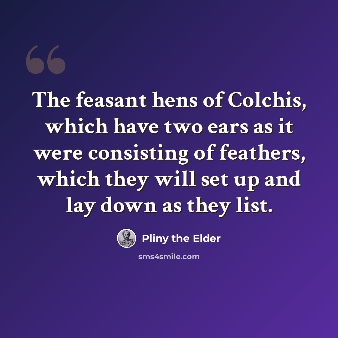 “The feasant hens of Colchis, which have two ears as it were consisting of feathers, which they will set up and lay down as they list.” quote by Pliny the Elder