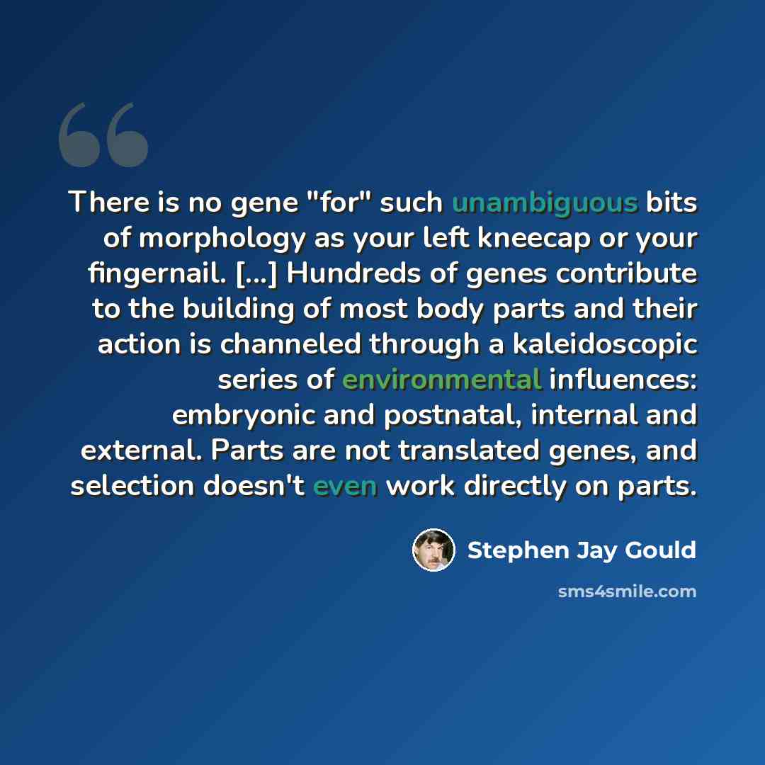 “There is no gene "for" such unambiguous bits of morphology as your left kneecap or your fingernail. [...] Hundreds of genes contribute to the building of most body parts and their action is channeled through a kaleidoscopic series of environmental influences: embryonic and postnatal, internal and…” quote by Stephen Jay Gould