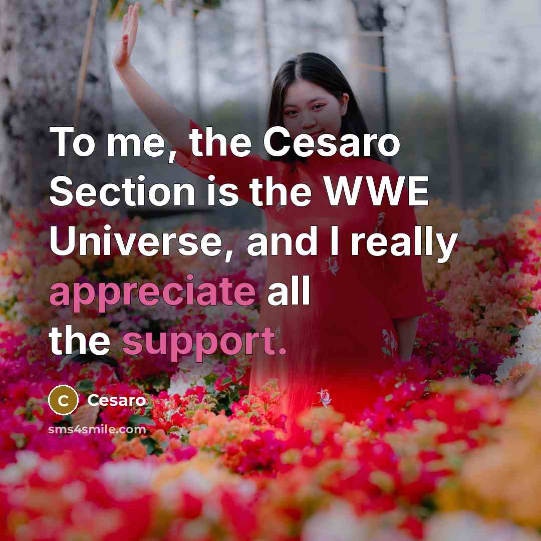 “To me, the Cesaro Section is the WWE Universe, and I really appreciate all the support.” quote by Cesaro