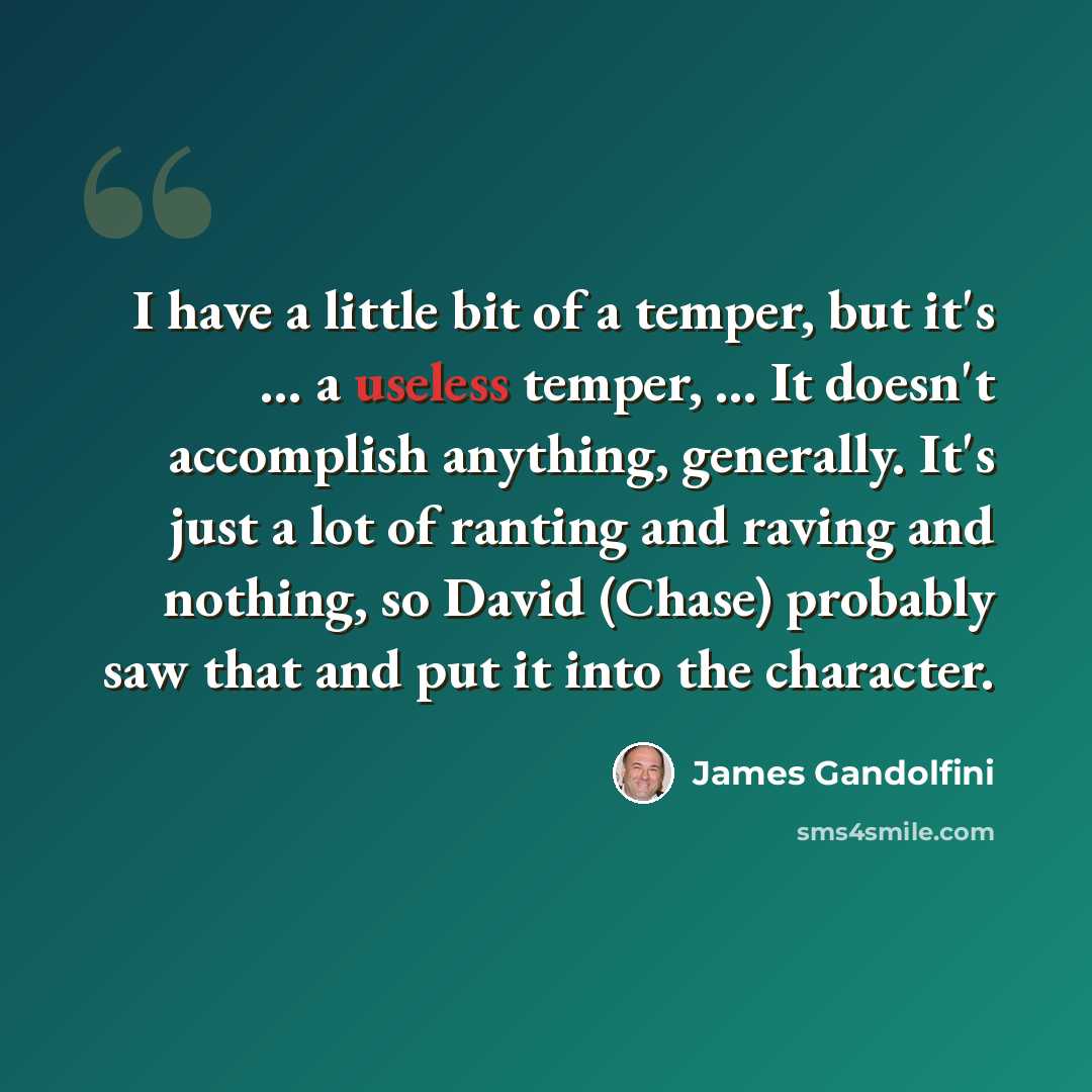 “I have a little bit of a temper, but it's ... a useless temper, ... It doesn't accomplish anything, generally. It's just a lot of ranting and raving and nothing, so David (Chase) probably saw that and put it into the character.” quote by James Gandolfini