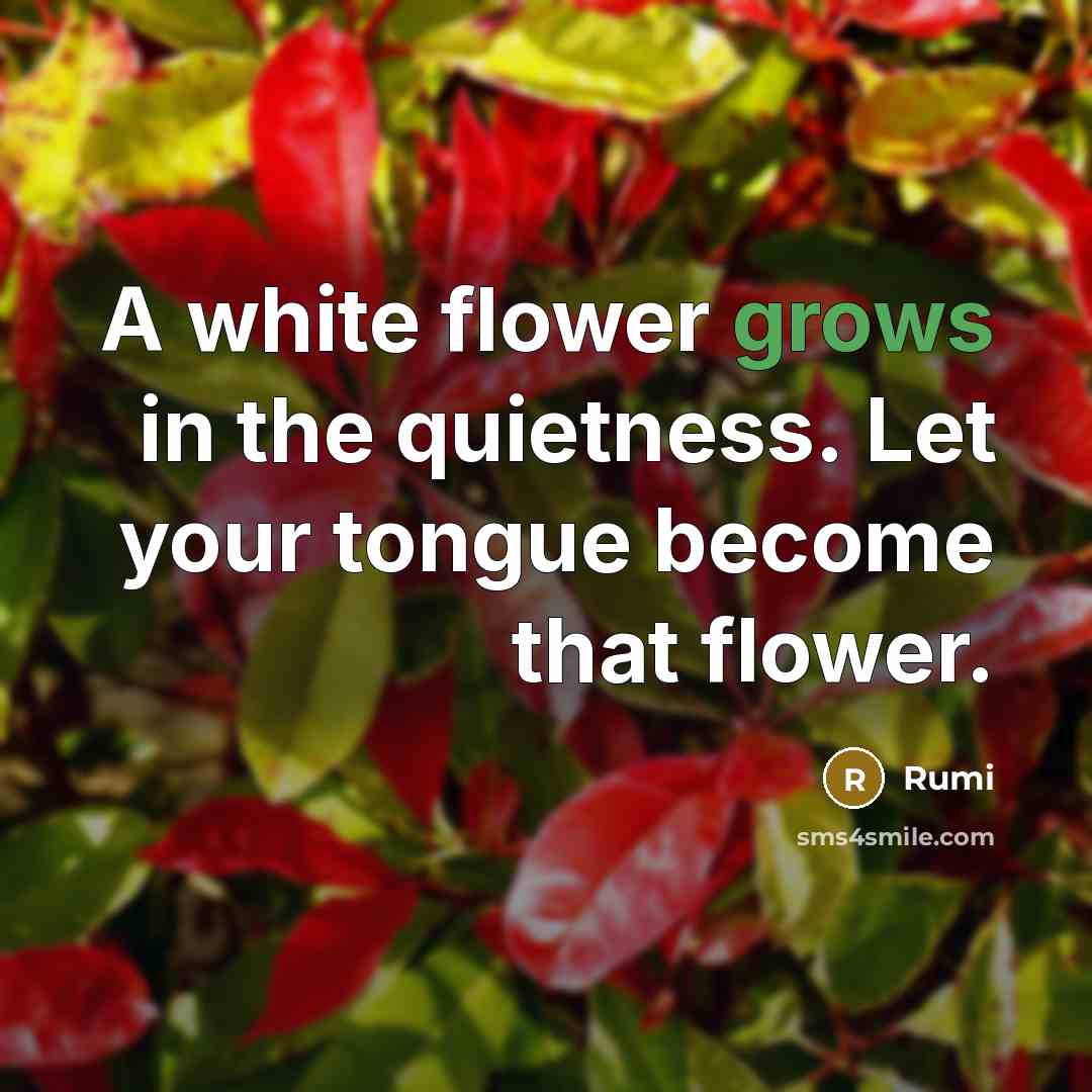 “A white flower grows in the quietness. Let your tongue become that flower.” quote by Rumi