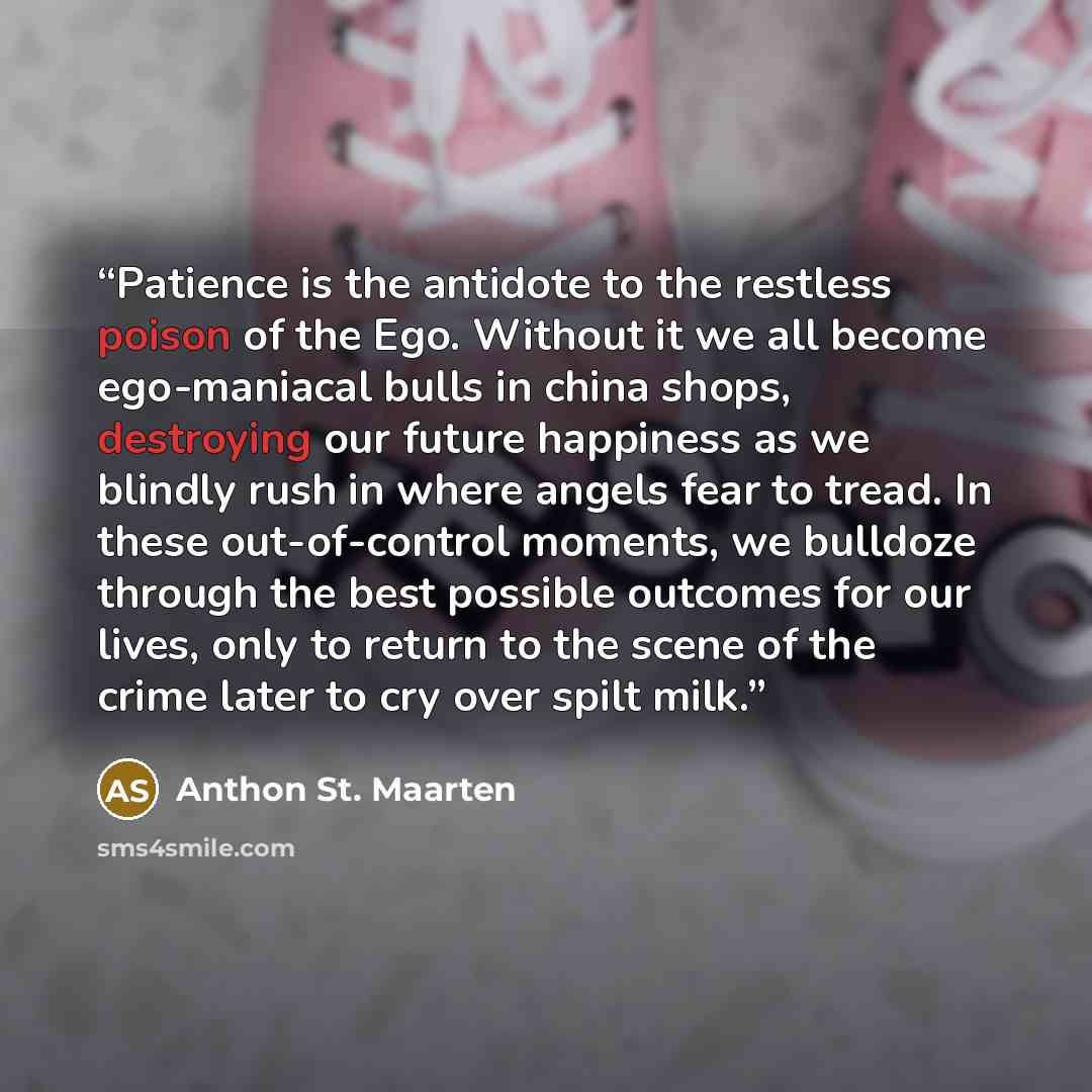 “Patience is the antidote to the restless poison of the Ego. Without it we all become ego-maniacal bulls in china shops, destroying our future happiness as we blindly rush in where angels fear to tread. In these out-of-control moments, we bulldoze through the best possible outcomes for our lives…” quote by Anthon St. Maarten