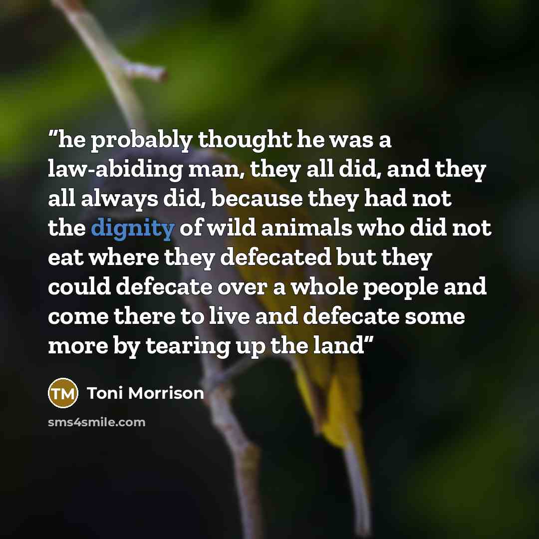 “he probably thought he was a law-abiding man, they all did, and they all always did, because they had not the dignity of wild animals who did not eat where they defecated but they could defecate over a whole people and come there to live and defecate some more by tearing up the land” quote by Toni Morrison