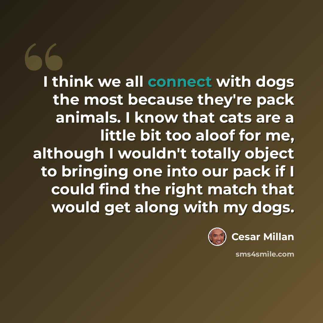 “I think we all connect with dogs the most because they're pack animals. I know that cats are a little bit too aloof for me, although I wouldn't totally object to bringing one into our pack if I could find the right match that would get along with my dogs.” quote by Cesar Millan