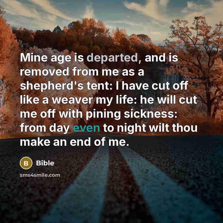 “Mine age is departed, and is removed from me as a shepherd's tent: I have cut off like a weaver my life: he will cut me off with pining sickness: from day even to night wilt thou make an end of me.” quote by Bible