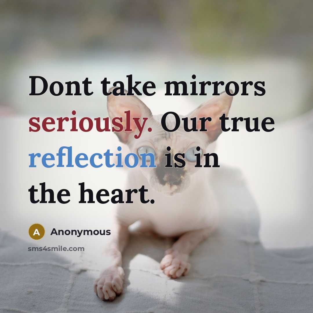 “Dont take mirrors seriously. Our true reflection is in the heart.” quote by Anonymous