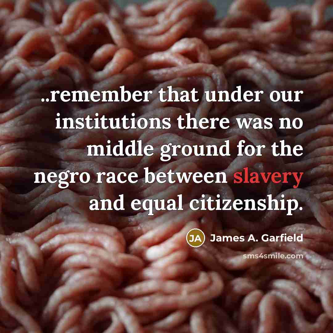 “..remember that under our institutions there was no middle ground for the negro race between slavery and equal citizenship.” quote by James A. Garfield