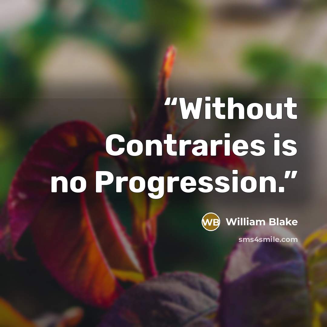 “Without Contraries is no Progression.” quote by William Blake