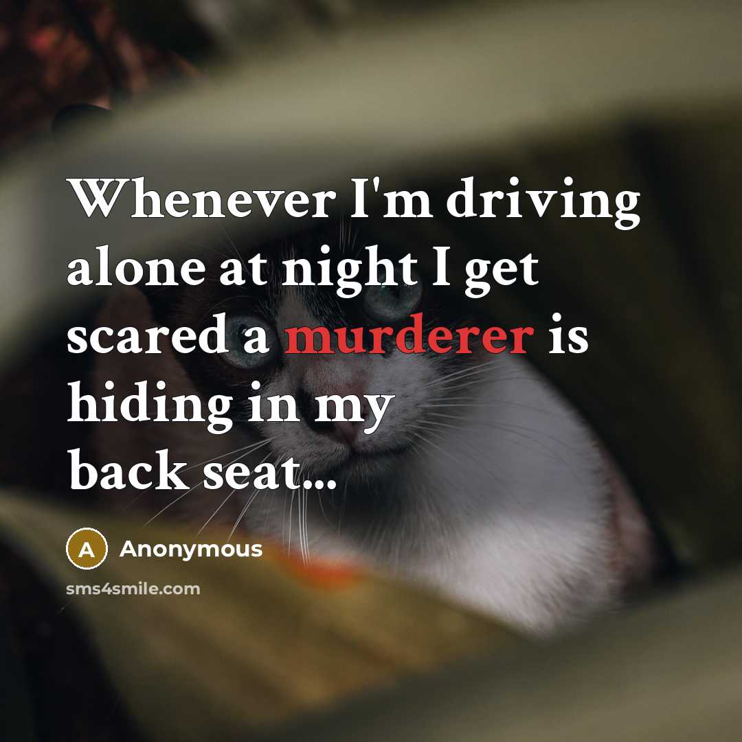 “Whenever I'm driving alone at night I get scared a murderer is hiding in my back seat...” quote by Anonymous