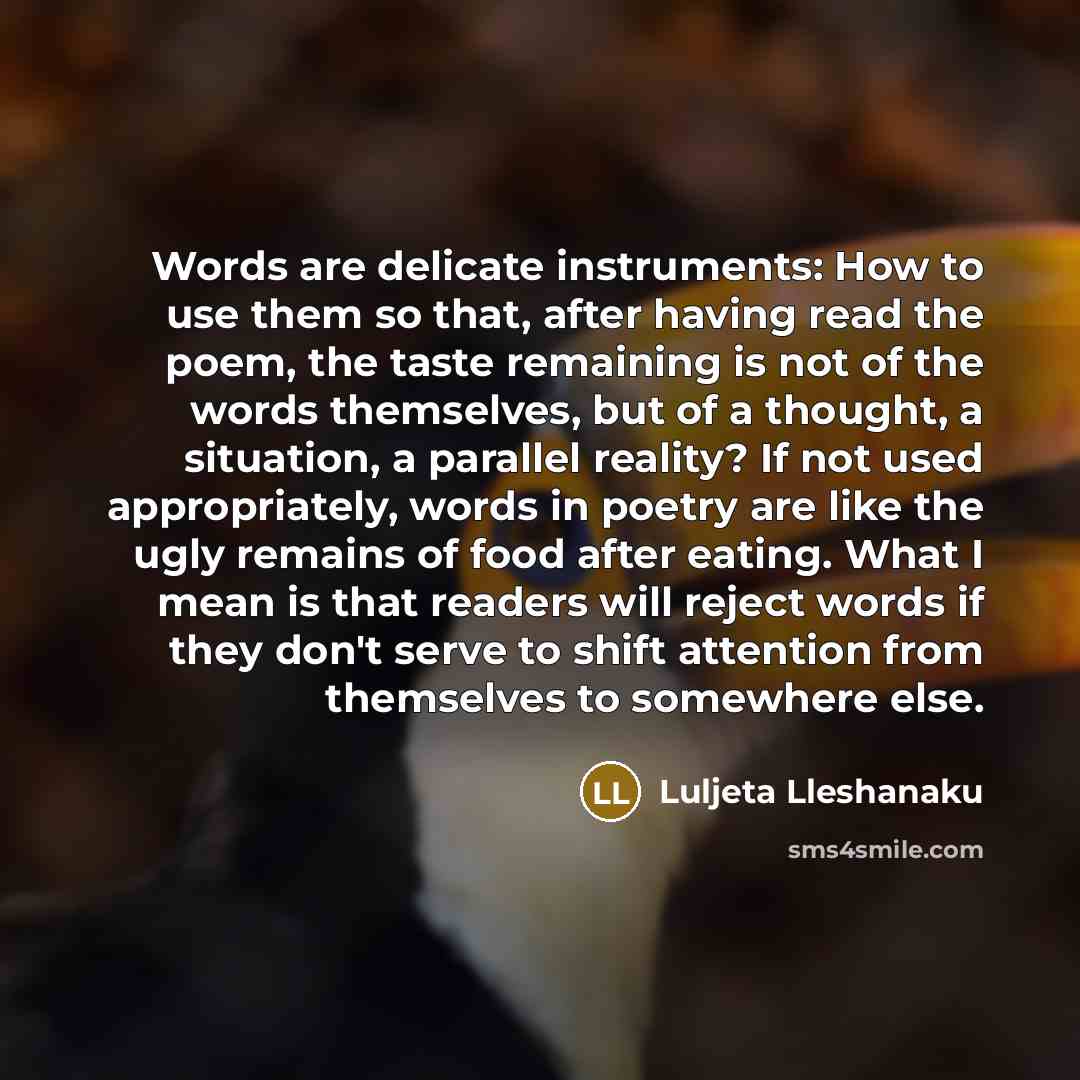 “Words are delicate instruments: How to use them so that, after having read the poem, the taste remaining is not of the words themselves, but of a thought, a situation, a parallel reality? If not used appropriately, words in poetry are like the ugly remains of food after eating. What I mean is that…” quote by Luljeta Lleshanaku