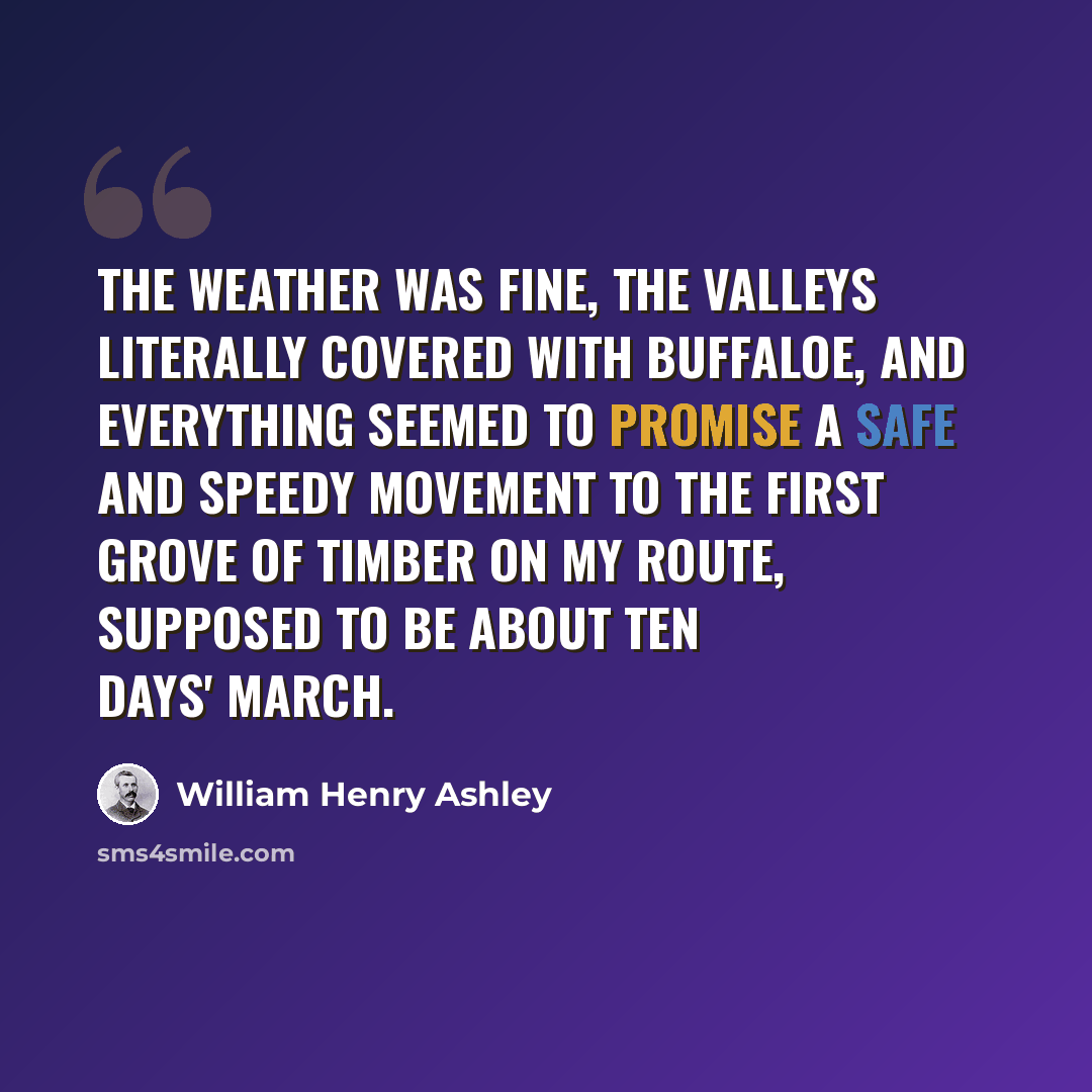 “The weather was fine, the valleys literally covered with buffaloe, and everything seemed to promise a safe and speedy movement to the first grove of timber on my route, supposed to be about ten days' march.” quote by William Henry Ashley