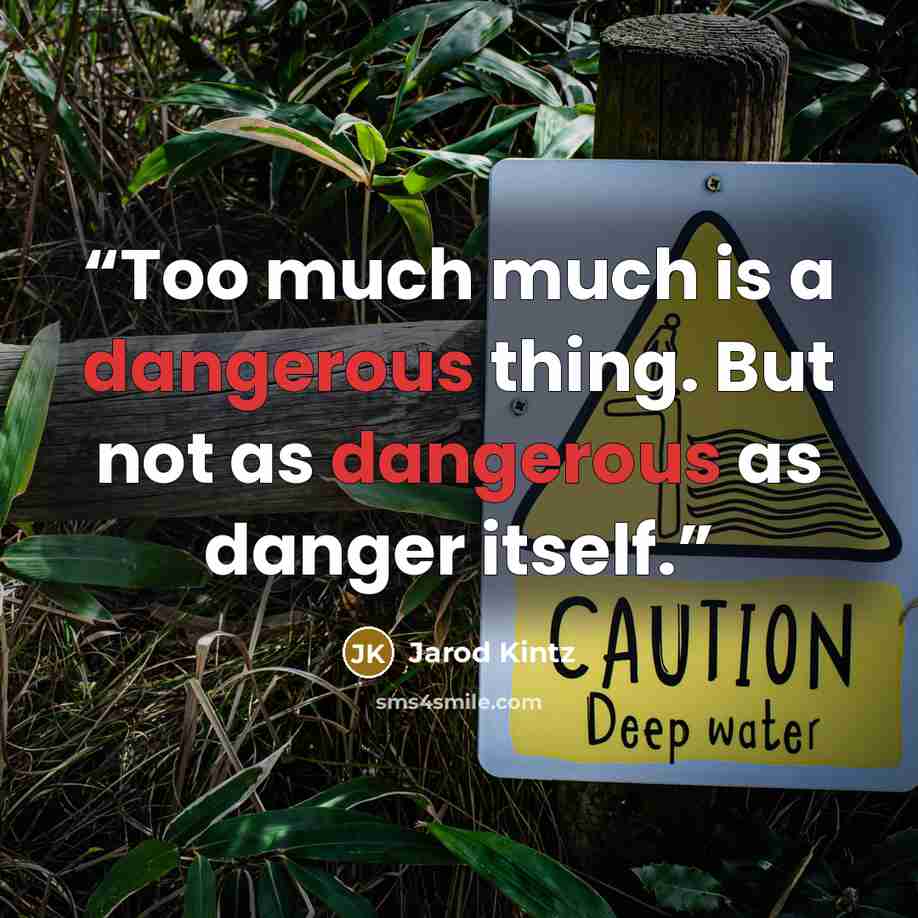“Too much much is a dangerous thing. But not as dangerous as danger itself.” quote by Jarod Kintz
