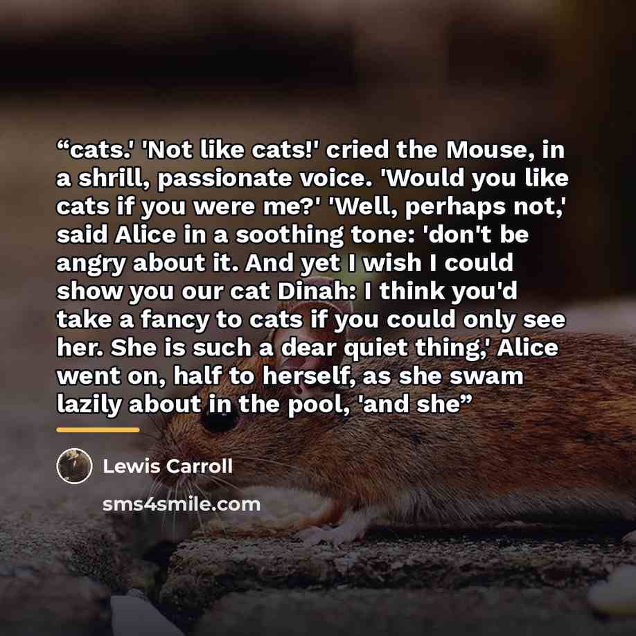 “cats.' 'Not like cats!' cried the Mouse, in a shrill, passionate voice. 'Would you like cats if you were me?' 'Well, perhaps not,' said Alice in a soothing tone: 'don't be angry about it. And yet I wish I could show you our cat Dinah: I think you'd take a fancy to cats if you could only see her…” quote by Lewis Carroll