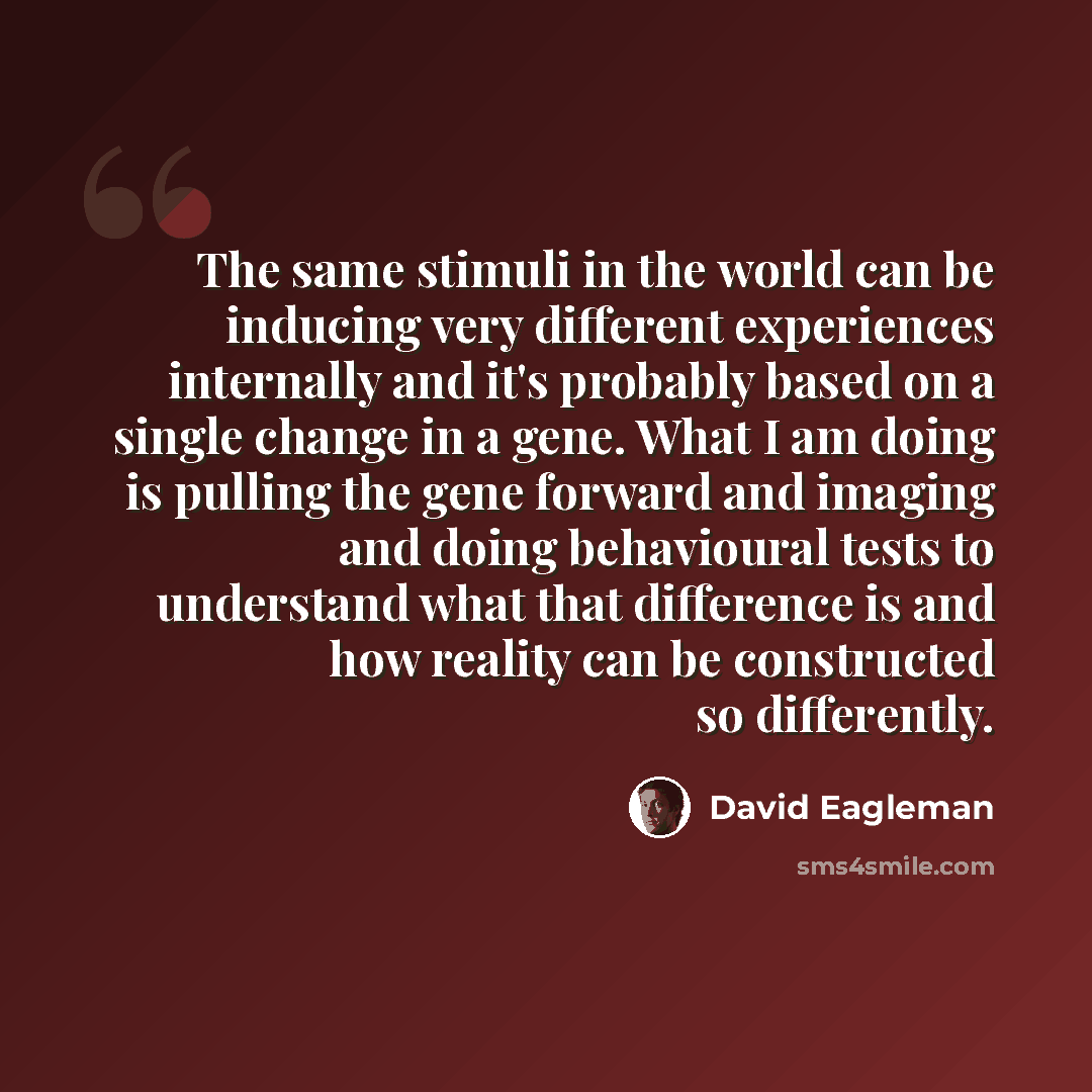 “The same stimuli in the world can be inducing very different experiences internally and it's probably based on a single change in a gene. What I am doing is pulling the gene forward and imaging and doing behavioural tests to understand what that difference is and how reality can be constructed so…” quote by David Eagleman